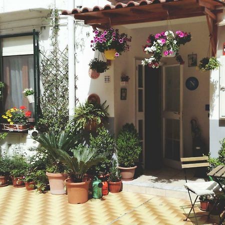 Casa Lena B&B Napoli Bagian luar foto